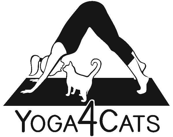 Feature Image for Yoga4Cats
